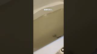 【汚水⁉️タオルオキシ漬け】#オキシクリーン#オキシ漬け#掃除#2人暮らし#同棲#shorts