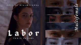 ✧ Labor || Multifemale ✧