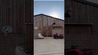 How do you get on a Quad bike? #colinfurze