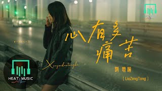 劉增瞳 - 心有多痛苦「愛情可遇不可得」【動態歌詞Lyrics】