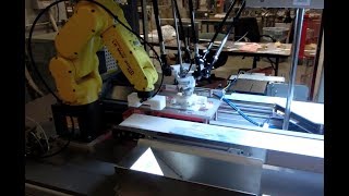 Automated Carton Feeder Machine Uses FANUC Robots to Label, Inspect & Transport Cartons – Farason