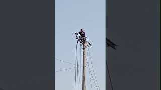 Insulator removal time #electricaljob #electricity #33kv #electrician #safety