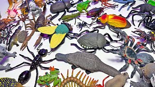 NEW Insects Toy Collection - Grasshopper, Praying Mantis, Butterfly, Stick Insect, Beetle, Centipede