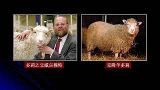 23.3 细胞工程及其应用