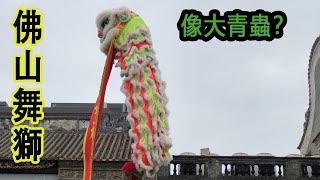 中國傳統文化：舞獅。我在佛山古跡祖廟中看舞獅。獅子暴走梅花樁，驚呆了衆人。獅子爬上十米高杆，恐高的已經嚇尿了。。。