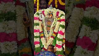 Vel Muruga 🙏🏻#Murugaa#god #devotionalhits #song