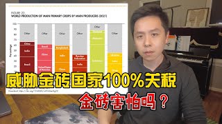 金砖不怕100%关税，掌握40%全球经济命脉
