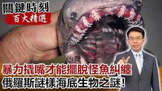 暴力撬嘴才能擺脫怪魚糾纏 俄羅斯謎樣海底生物之謎！【關鍵時刻百大精選】-劉寶傑 朱學恒 馬西屏