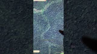 從地圖上看，這座城市完全與森林融合了， 住在這裡是什麼體驗。#衛星地圖 #亞馬遜雨林 #巴西 #探索