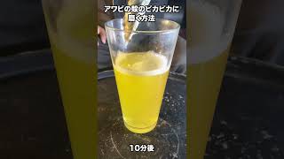 【ハウツー】アワビをピカピカに磨く方法 - How to Polish Abalone to a Shine - #shorts