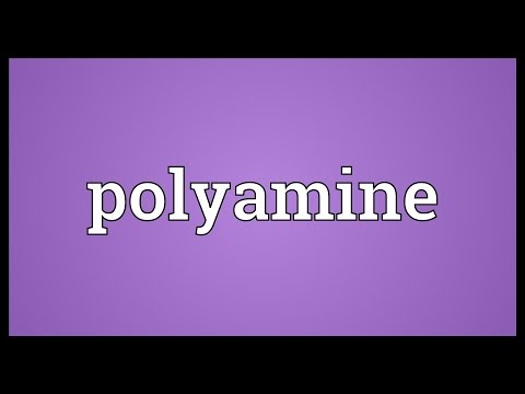 Polyamine Meaning