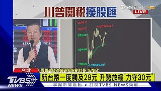 1000台股分析/新台幣一度觸及29元 升勢放緩「力守30元」｜TVBS新聞 @TVBSNEWS02