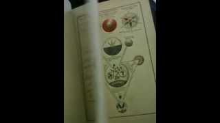More SRIA Rosicrucian Manuscripts
