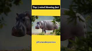Top 5 Mind Blowing Facts in hindi #facts #anandfacts #animals #funfacts