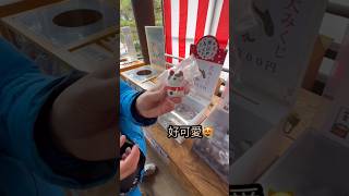 籤詩變身為扇子🪭及狗狗造型，你看過嗎？🥰 #年初一#好運龍總來