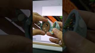 In a nutshell #diykit | Undersea Roaming 海底漫步  #DIY #dollhouse #miniature #craft #craftkit