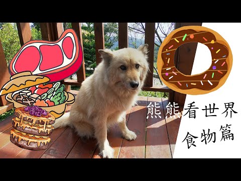 狗狗的世界裡，食物就是金錢，這就是狗狗世界的真理【井底之狼Well Wolf】