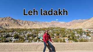 Ep-07 Leh-Ladakh || Delhi to Leh via Manali || Amazing || Roadtrip || Local || One day || Tour