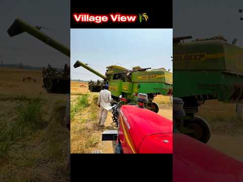 Farmers Viral 🌾 Kheti Status 💞 whatshap statuss 8k #shorts #farming #farmerlife #kheti