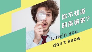 3C人怕藍光，如何補對葉黃素是關鍵？【永真生技，永保健康】| 關鍵的黃斑3色素:葉黃素、玉米黃素、消旋玉米黃素