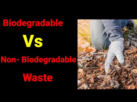 what is Biodegradable and Non - Biodegradable waste|  Biodegradable Vs Non -  Biodegradable waste.