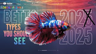 Stunning Betta Fish Types - You Need to See/Buy in 2025!