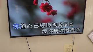 男人的性命(原唱陳隨意)