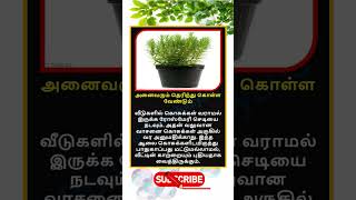 Daily life use knowledge fact💥 #tamilgk #shortfeed #tamilshorts #shorts #short #gk #tamilnadu #tamil
