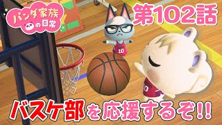 【あつ森アニメ】パンダ家族の日常 第102話「バスケ部を応援するぞ！！」