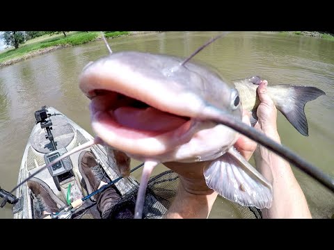 Fish and Float Catfish Fun!