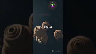 crazy fact 17 #DidYouKnow #Tardigrade #SpaceAnimal #WaterBear #ScienceFacts #MindBlown #SpaceFacts