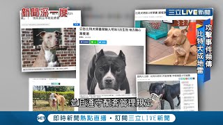 比特犬恐爆棄養潮? 傷人事件頻傳農委會新制"禁止輸入或飼養比特犬"3月上路 亂象根源"非法繁殖"未根除問題恐無解...│記者 曾奕慈│【新聞深一度】20220202│三立新聞台