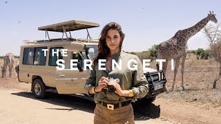 let’s go on my dream safari in tanzania  🇹🇿 the nicest hotel in the serengeti