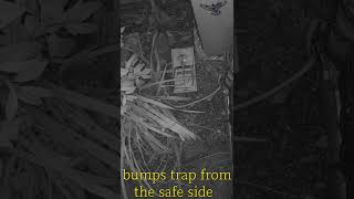 How Smart Rats Trip Snap Traps