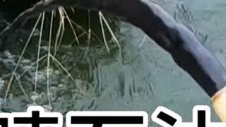 新蛊池出现首位淘汰者！是谁？新增空投包机制。