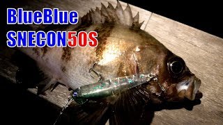BlueBlue　SNECON50S