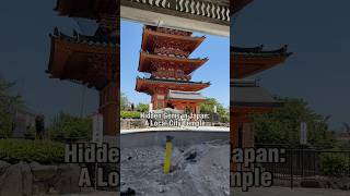 Hidden Gems in Japan: Discovering a Local Temple #Chiba #千葉 #VisitChiba #Travel #Japan