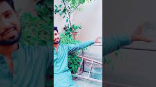 Tik tok tips