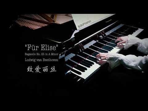 【Bi.Bi Piano】钢琴｜终于弹了这首 致爱丽丝 Für Elise 贝多芬