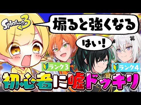 【スプラトゥーン3】ランク3のガチ初心者に嘘を教えてみたら面白すぎたｗｗｗｗｗｗ