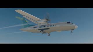 Difficult landing job Flight ✈️