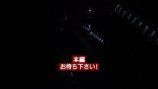 【特大サイズ連発】オホーツク海夜釣りで特大サイズ連発！編集中！ #釣り #オホーツク海 #fishing