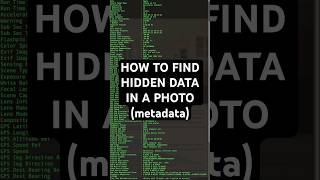 How to view metadata - #5 OSINT Advent Tools & Techniques