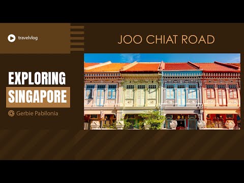 Best city-based tourist spots / Joo Chiat Road / #singaporetravel 2024