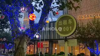Holographic Fan Lighting decoration
