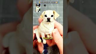 Loyal Dog And Human Love #motivationalspeech #lifeslesson #wisdom #motivation #diy #mindset
