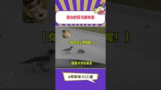 灰乌鸦：你怎么过个马路都这么墨迹呢！#看一遍笑一遍 #娱乐评论大赏