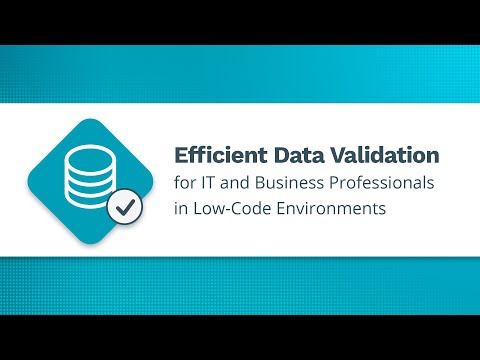 Efficient Data Validation for IT and Business Professionals in Low-Code Environments