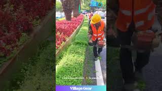 This Hedge Haircut is Oddly SATISFYING!🌳✂️ Fresh Trim! #oddlysatisfying #gardening #landscapinglife