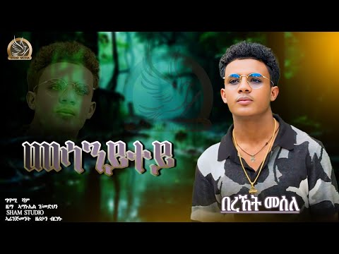 Bereket Mesele - Mesanitey  "መሳንይተይ"New Eritrean Music2024 - (Official Audio)Sham Media.Vol-2 Album.